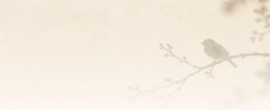 form-background
